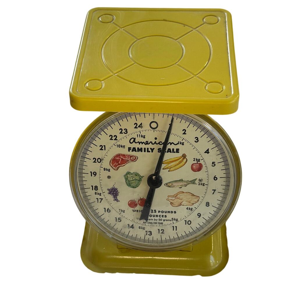VNTG American family kitchen scale fully intact 25 lbs weight limit